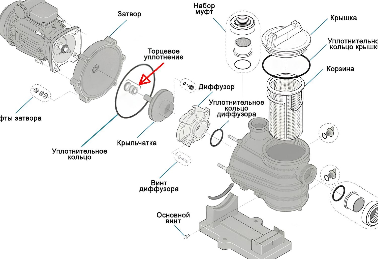 Внутренности насоса