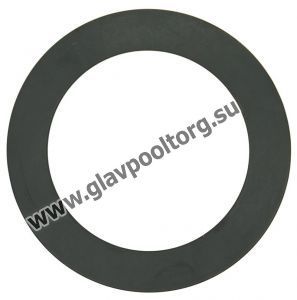 Прокладка межфланцевая  20 мм Effast (RGRGQP0200)