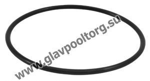 Уплотнительное кольцо передней крышки корпуса насоса Mayer Schwimmbad WP500-IT