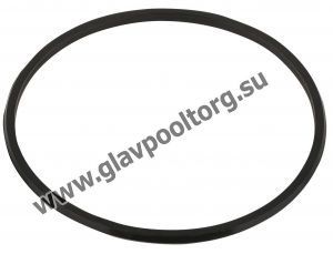 Прокладка-кольцо муфты насоса Aquaviva SS (02011104)
