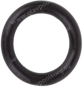 Уплотнительное кольцо насоса Aquaviva SWIM 025-150