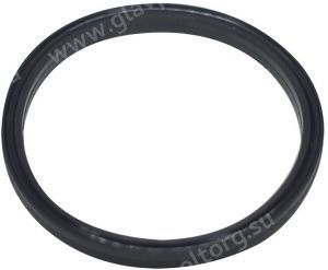 Уплотнительное кольцо насоса Hayward (SPX1600R)
