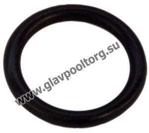Уплотнительное кольцо сливной пробки насоса Pool King STP (03-0423)