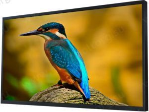 Влагостойкий встраиваемый Smart телевизор 55'' AVEL Smart Ultra HD (4K), черный (AVS550OT)